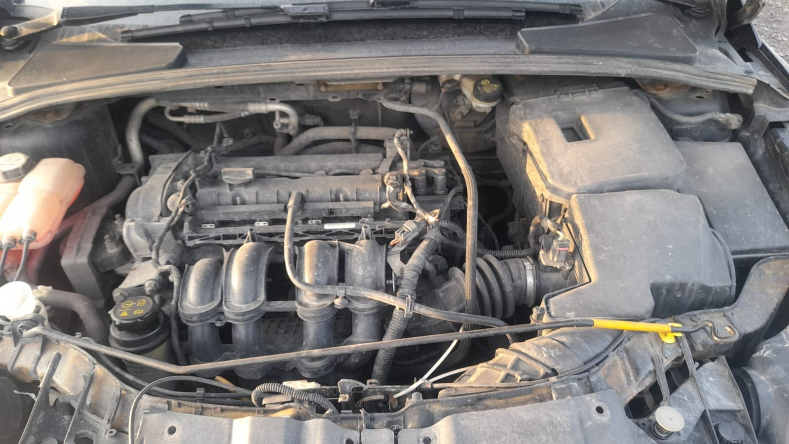 Ford Focus 1.6AT