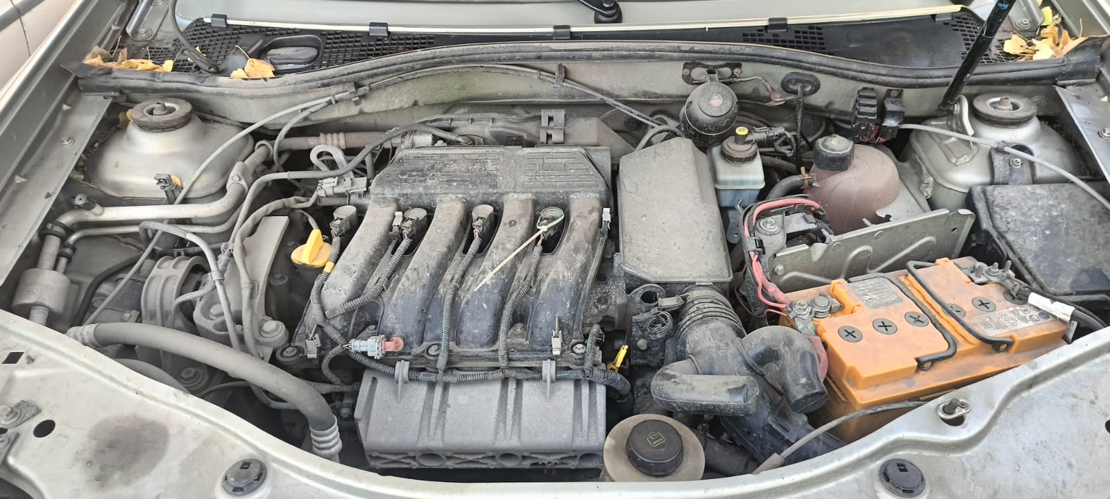 RENAULT DUSTER